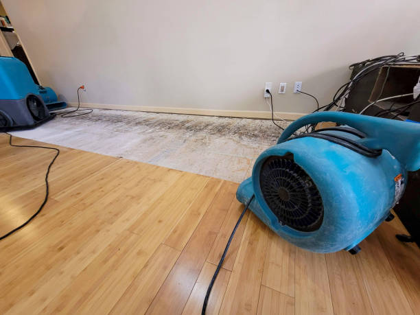 Professional Basement Flood Cleanup technician working in Chase, PA